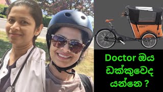 සමහර අයට අනුව ඩක්කුවේ වැඩට යන මං  Cargo bike lifeineurope sinhala [upl. by Owena]