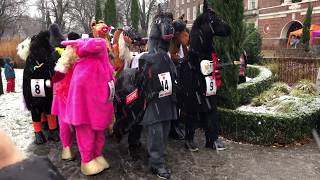 London Pantomime Horse Race 2017 [upl. by Otrebron]