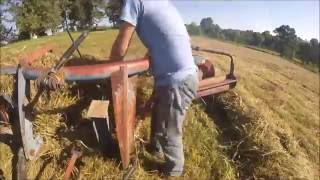 John Deere 4410 Ford 503 Rake Raking Hay [upl. by Lefty]