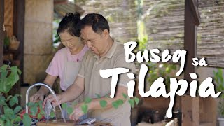 Koreans in Philippine Negros Province Try Best Tilapia Recipe  Tilapia Fish Cooked in Coconut Milk [upl. by Fellner]