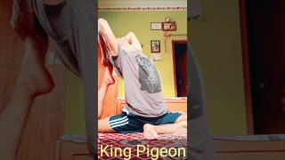 king Pigeon pose  trending love yogaandfitnesswithshiva youtubeshorts shorts ytshorts [upl. by Masson382]