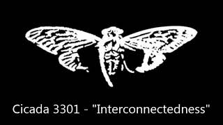 Cicada 3301  Interconnectedness [upl. by Chema]