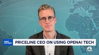 Priceline CEO on using OpenAI tech to make travel easier [upl. by Hayouqes880]