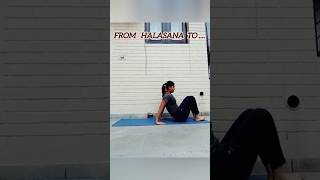 From halasana to 😱😱 shorts yoga [upl. by Aehtla]