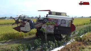 CREW SOBO SAWAH GROUP PANEN LAHAN PINGGIR JALAN RAYA  KOMBI SAWAH MAXXI BIMO 102 [upl. by Ynaffit]