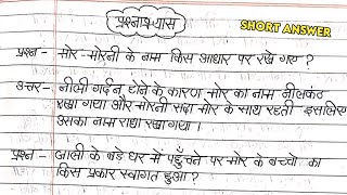 NCERTCBSE CLASS 7 HINDI CHAPTER 15 नीलकंठ प्रश्नोत्तर  QUESTIONANSWERS  नीलकंठ का प्रश्नोत्तर [upl. by Tripp405]