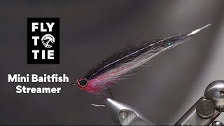 Mini Baitfish Streamer  FlyToTie Fly Tying [upl. by Trescott]