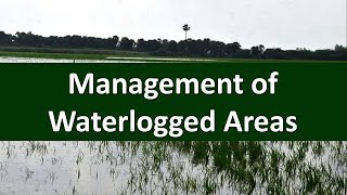 Management of Waterlogged Areas in Canal Commands [upl. by Neufer]