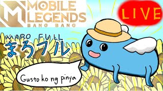 【モバレ】ついにアプデ来たので変わったキャラ試そうの会‼ 【ミシック★55～】Mobile legends [upl. by Josie]