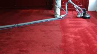 Carpet Cleaning with the RotovacJaguarZeta [upl. by Potash]