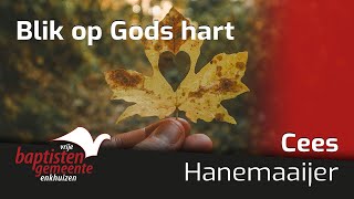 Blik op Gods hart  Cees Hanemaaijer  3 november 2024 [upl. by Phipps]