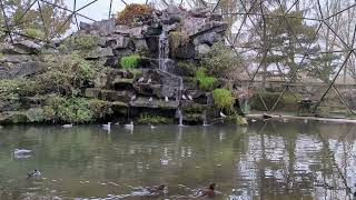 Iconic domed seabird aviary including ducks waders and gulls at Tierpark Berlin [upl. by Noyr756]