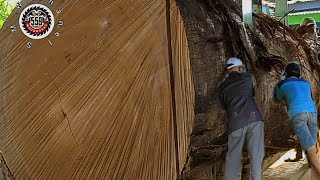 Overwhelmed Woodworker Cuts Incredible Hardwood  Sawmill [upl. by Acirfa]