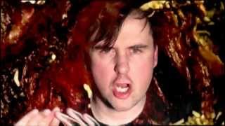 NAPALM DEATH  Analysis Paralysis OFFICIAL VIDEO [upl. by Enicnarf]