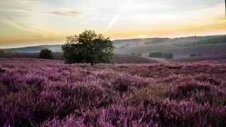 Op de Grote stille Heide Groot Nederlands Mannenkoor M Mans [upl. by Corso]