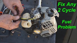 How to FIX a 2 Cycle Engine Trimmer with FUEL PROBLEMS  Wont Start or Run [upl. by Mignon]