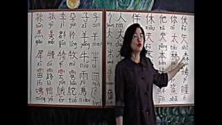 Chinese Class Studio Lesson 4  Chinese Radicals [upl. by Wardieu166]