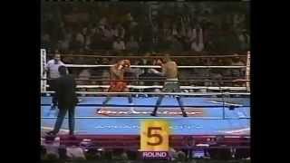 Roy Jones Jr vs Vinny Pazienza 2461995  IBF World Super Middleweight Championship [upl. by Giselle]