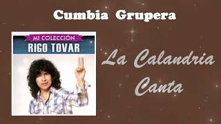 La Calandria Canta  Rigo Tovar • Cumbia Grupera • Cumbias Sólo Cumbias [upl. by Petronilla]