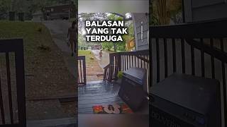 Balasan yang tak terduga shortvideo [upl. by Lad333]