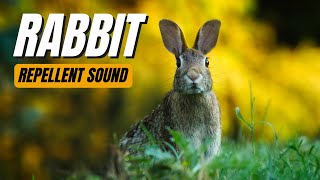 Rabbit Repellent Sound [upl. by Gabriello]