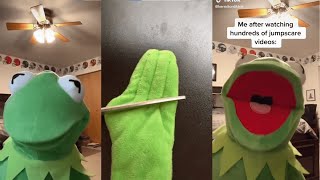 Funniest Kermit on TikTok Videos Compilation Best kermitontiktok 2023 [upl. by Annayar]