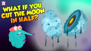 What If The Moon Split In Half  Moonquake  The Dr Binocs Show  Peekaboo Kidz [upl. by Uzzi450]