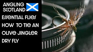 Fly tying tutorial  How to tie the DEADLY olive jingler [upl. by Notrom298]