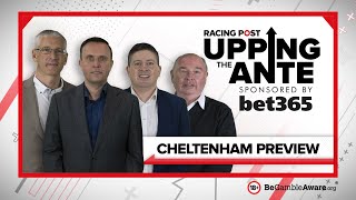 Upping The Ante  Cheltenham Preview Show 2022 [upl. by Seigel]