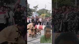 Indian Army Dog Training 🔥 🇮🇳 shorts army viral trendingshorts youtubeshorts [upl. by Ahcatan760]