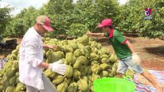 Vietnamese durian accounts for nearly 32 of China’s imports [upl. by Rayle549]