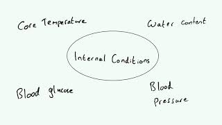 Homeostasis  AQA GCSE 91 Biology B5 [upl. by Nosreh]