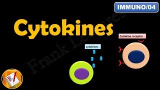 CYTOKINES  ILs INFs TNFs CSFs and Chemokines FLImmuno04 [upl. by Tengler]