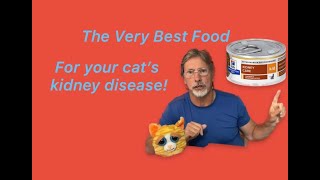 The Best Food for Your Cats Kidney Disease  Food Review [upl. by Nah509]