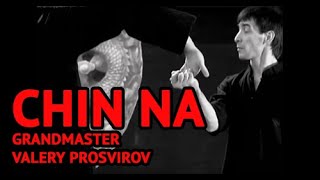 Chin Na is Chinese Martial Arts Techniques to Control or Lock Opponents Joints [upl. by Enaira]