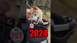 Famous Memes Then vs Now part23 shorts nostalgia tiktok [upl. by Zerla]