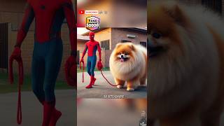 Spiderman gifting a Giant Pomeranian to Supergirl ❤️ brawlstars spiderman marvel dccomics [upl. by Isle]