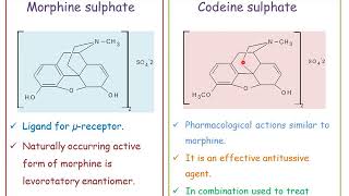 Narcotic analgesics Medicinal ChemistryI [upl. by Acimad]