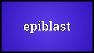 Epiblast Meaning [upl. by Massingill]