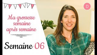 6ème semaine de grossesse – L’alimentation [upl. by Inhoj]