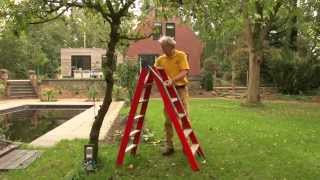 Appelboom snoeien  Fruitbomen zomersnoei  Tuinieren met Hendrik Jan de Tuinman [upl. by Ancel651]