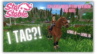 ICH LEVEL mein PERCHERON an EINEM TAG DURCH 😍  Meine Jorvik Runde von Level 0 bis Level 15🤍🐴🏆 [upl. by Stevy190]