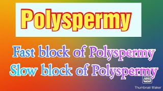 What is PolyspermyMechanism of Polyspermy  Slow block amp Fast block PolyspermyDevelopmental Bio [upl. by Abate]