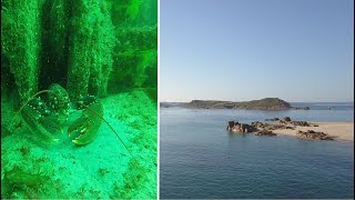 Saison des araignées en baie de Lannion [upl. by Irisa667]