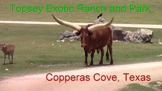 Topsey Exotic Ranch amp Park Copperas Cove Texas [upl. by Aneger]