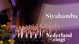 Nederland Zingt Siyahamba [upl. by Redvers619]