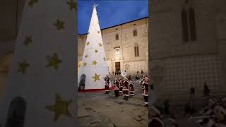 Accensione Albero di Natale a Perugia [upl. by Ahsat]