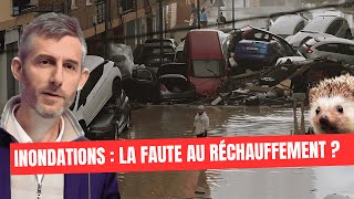 Inondations  la faute au réchauffement [upl. by Karas]