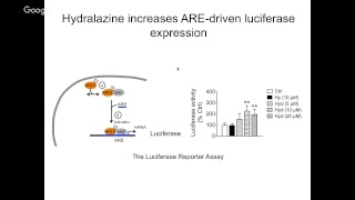 “Potential application of hydralazine a FDA approved antihypertensive drug for antiaging therapy” [upl. by Ushijima]