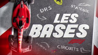 TOUT SAVOIR SUR LA FORMULE 1 Les pneus les courses les stratégies etc [upl. by Eiramanel]